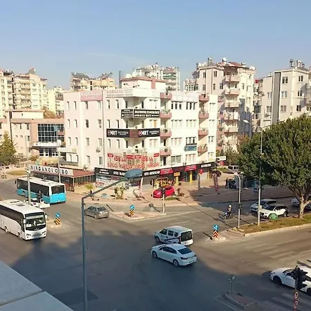In 1000 Meters Square Terrace